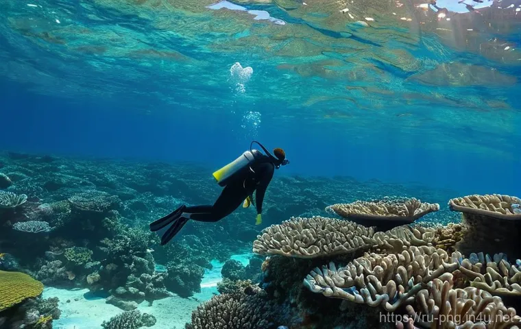 마당 해양 보호구역 방문기 - **"Vibrant Marine Sanctuary: A Symphony of Underwater Life"**
    A breathtaking, panoramic view of ...